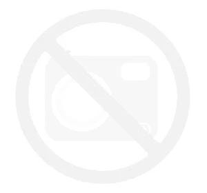 Dell Pro Max 16 MC16255 AMD Ryzen AI 5 PRO 340/16GB/256GB SSD/AMD Graphics/FgrPr & SmtCd/FHD Cam & Mic/WLAN + BT/16" FHD+/W11 Pro/3YPS